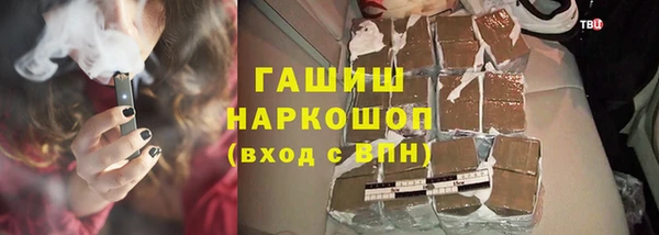МДПВ Бородино