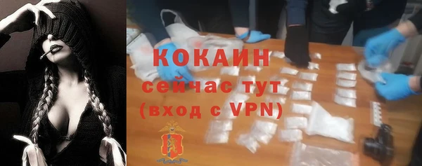 МДПВ Бородино