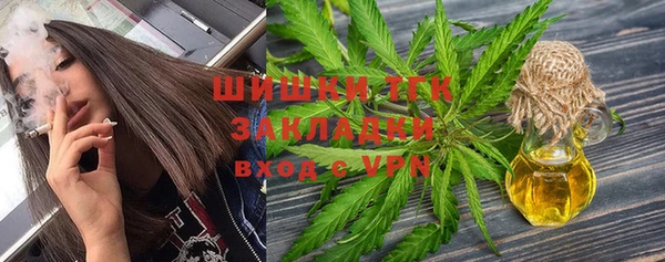 МДПВ Бородино