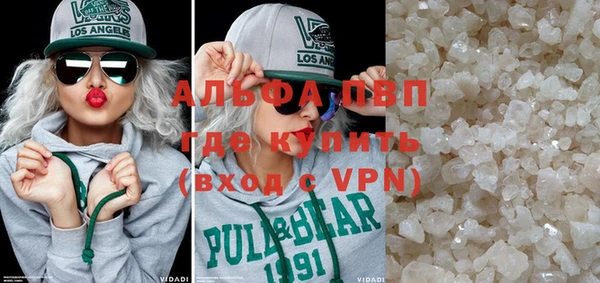 МДПВ Бородино