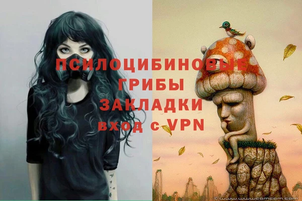 МДПВ Бородино