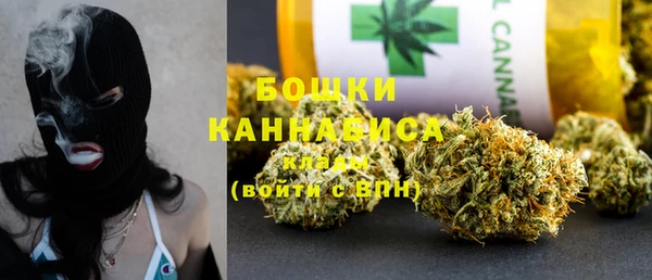 МДПВ Бородино
