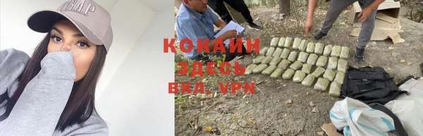 МДПВ Бородино