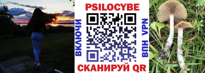 Псилоцибиновые грибы мицелий  цены   Надым 